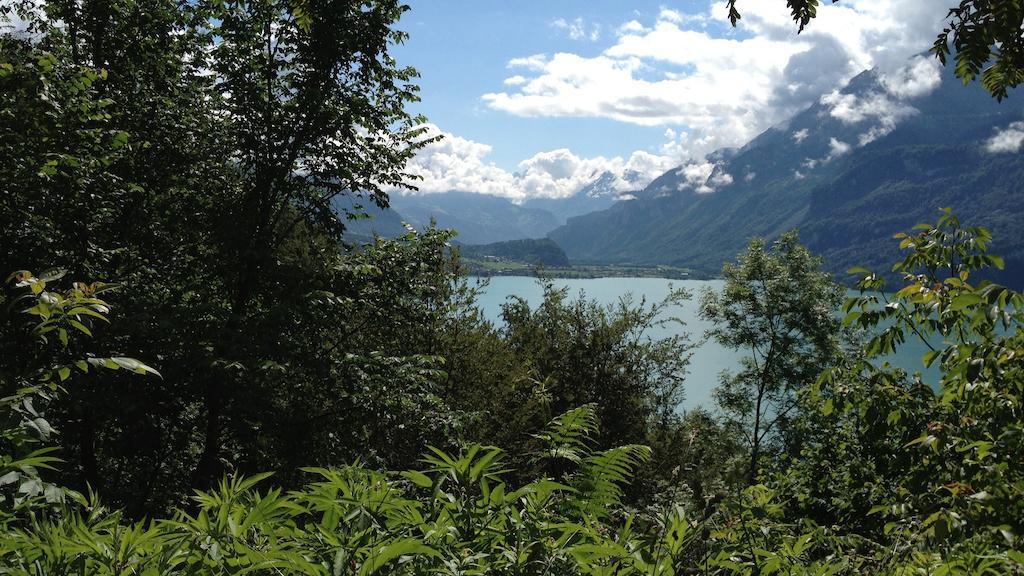 Seeli Hofstetten bei Brienz Номер фото